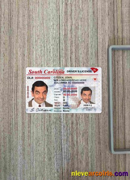 USA South Carolina driving license photolook